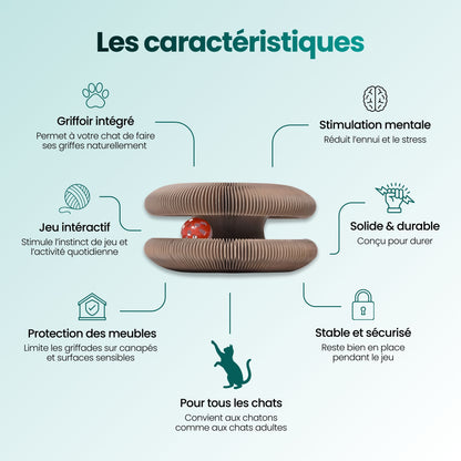 Griffoir 3 en 1 pour chat