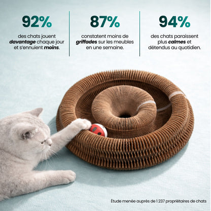 Griffoir 3 en 1 pour chat