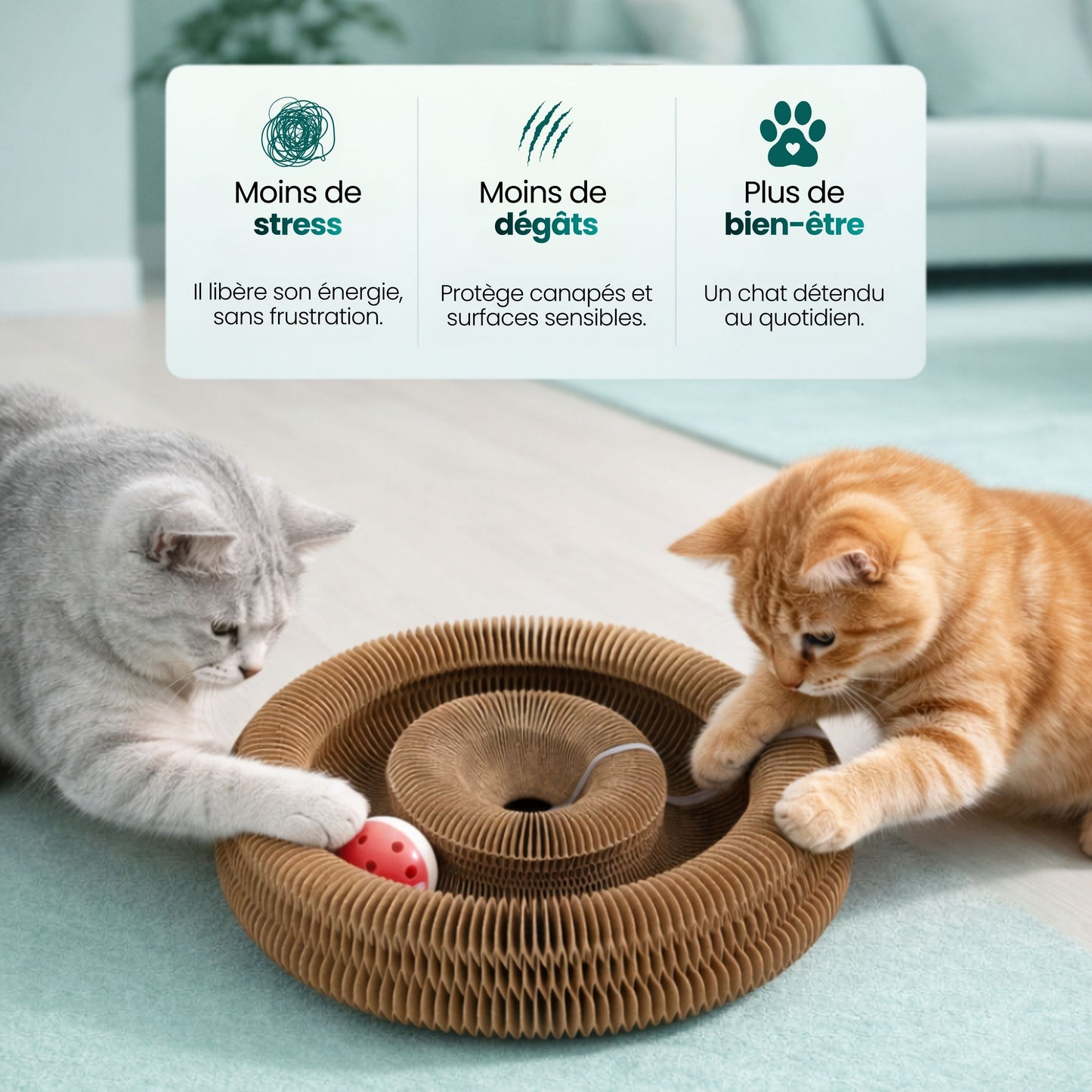 Griffoir 3 en 1 pour chat