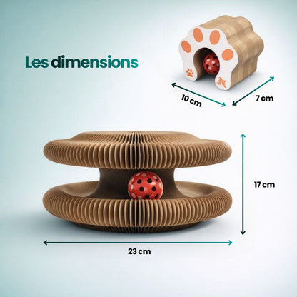 Griffoir 3 en 1 pour chat