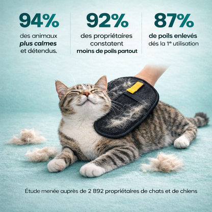 Gant Antipoils Réutilisable